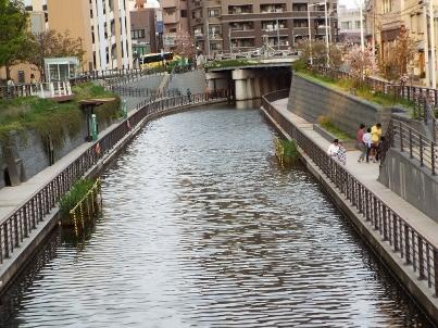 Skytree160422 (7) (403x302).jpg