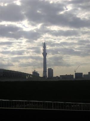 Skytree101130 (4) (302x403).jpg