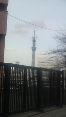 Skytree110217 (2) (227x403).jpg