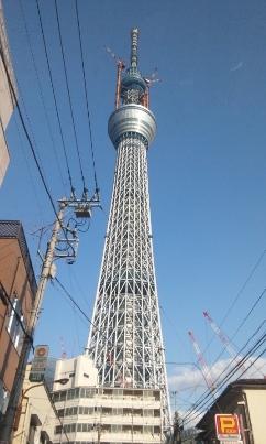 Skytree110331 (242x403).jpg