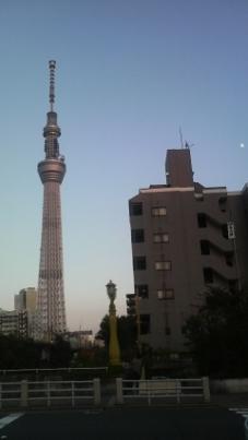 Skytree111007 (2) (227x403).jpg