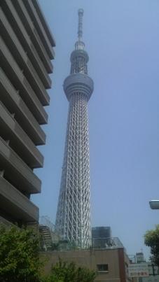 Skytree120519 (1) (227x403).jpg