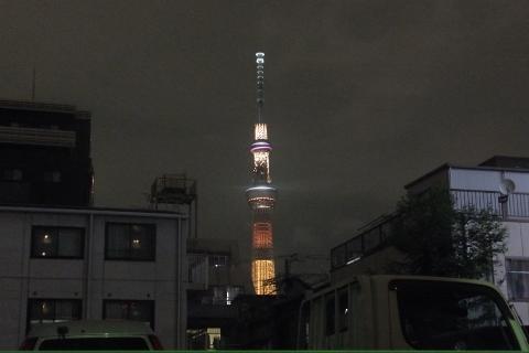 Skytree130824.jpg