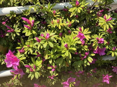 金 かね 偏に失う と書く 鉄 人の貧乏雑日記 ステンレスパイプ販売 ステンレス鋼材販売 ステンレス 継手販売 鉄パイプ販売 鉄鋼材販売 鉄継手販売の 関根鋼管株式会社 検索結果