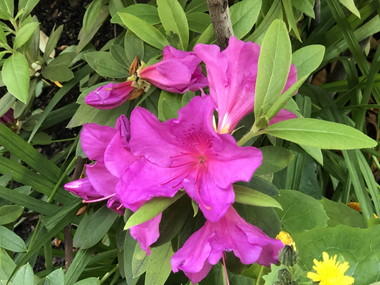 金 かね 偏に失う と書く 鉄 人の貧乏雑日記 ステンレスパイプ販売 ステンレス鋼材販売 ステンレス 継手販売 鉄パイプ販売 鉄鋼材販売 鉄継手販売の 関根鋼管株式会社 検索結果 金 かね 偏に失う と書く 鉄 人の貧乏雑日記 ステンレスパイプ販売 ステンレス鋼材販売 ステンレス 継手販売 鉄パイプ販売 鉄鋼材販売 鉄継手販売の 関根鋼管株式会社 検索結果