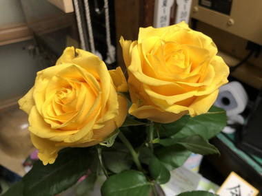 金 かね 偏に失う と書く 鉄 人の貧乏雑日記 ステンレスパイプ販売 ステンレス鋼材販売 ステンレス 継手販売 鉄パイプ販売 鉄鋼材販売 鉄継手販売の 関根鋼管株式会社 検索結果