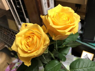 金 かね 偏に失う と書く 鉄 人の貧乏雑日記 ステンレスパイプ販売 ステンレス鋼材販売 ステンレス 継手販売 鉄パイプ販売 鉄鋼材販売 鉄継手販売の 関根鋼管株式会社 検索結果