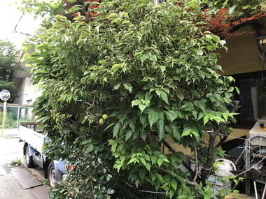 金 かね 偏に失う と書く 鉄 人の貧乏雑日記 ステンレスパイプ販売 ステンレス鋼材販売 ステンレス 継手販売 鉄パイプ販売 鉄鋼材販売 鉄継手販売の 関根鋼管株式会社 検索結果